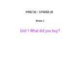 Module 2 Unit 1 What did you buy课件PPT