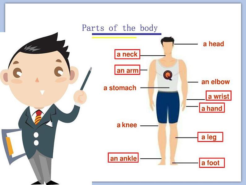 Unit 4 Seeing the doctor 课件3第4页