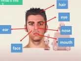 牛津譯林版英語二年級(jí)下冊(cè)Unit 4 I have big eyes 課件（課時(shí)2）