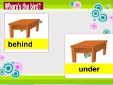 牛津譯林英語三下Unit 4 Where’s the bird？課件2