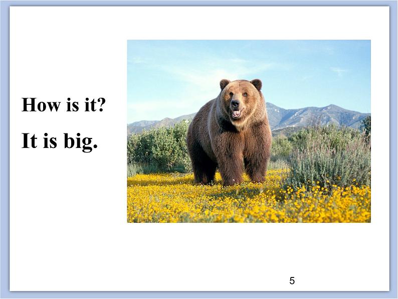 unit 1 Lesson 2 Which dress is better 第一课时_课件+教案05