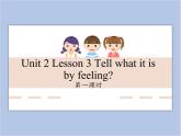 unit 2 Lesson 3 Tell what it is by feeling 第一课时_课件+教案
