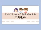 unit 2 Lesson 3 Tell what it is by feeling 第二课时_课件+教案