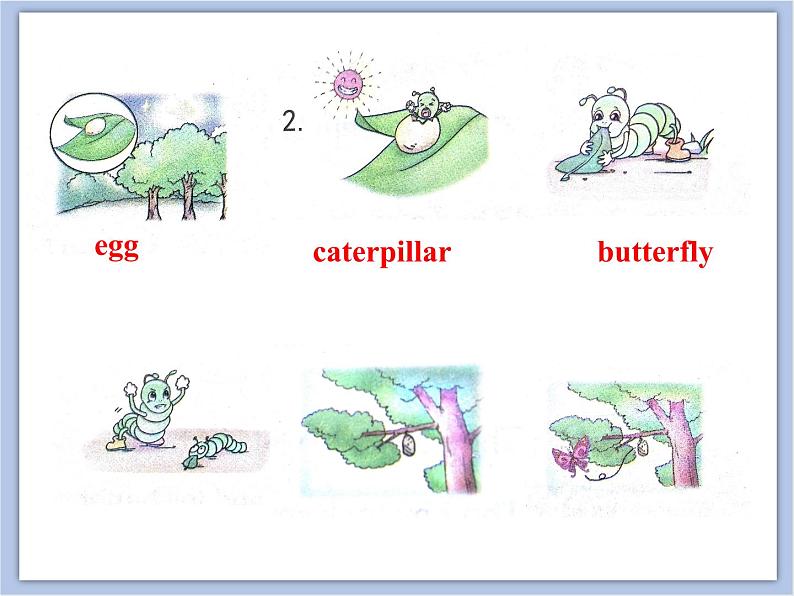 unit 3 Lesson 1 He was a beautiful butterfly 第一课时_课件+教案05