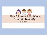 unit 3 Lesson 1 He was a beautiful butterfly 第二课时_课件+教案