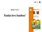 Module 7 Unit 1 Pandas love bamboo课件PPT