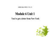 Module 6 Unit 1 You’ve got a letter from New York课件PPT
