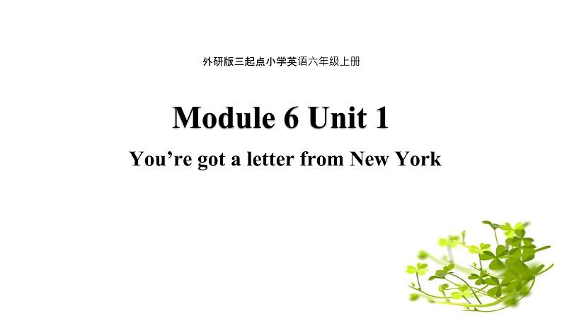 Module 6 Unit 1 You’ve got a letter from New York课件PPT01