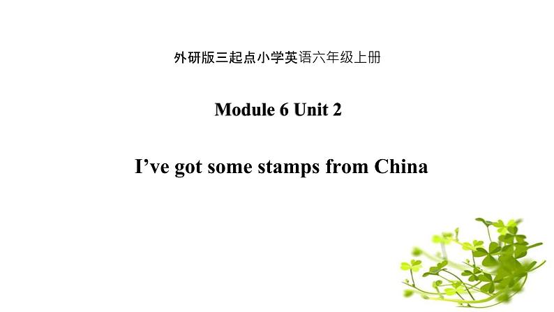 Module 6 Unit 2 I've got a stamp from China课件PPT01