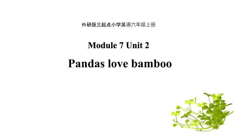 Module 7 Unit 2 Pandas love bamboo课件PPT01