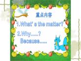 Module 9 unit 1 what’s the matter课件PPT