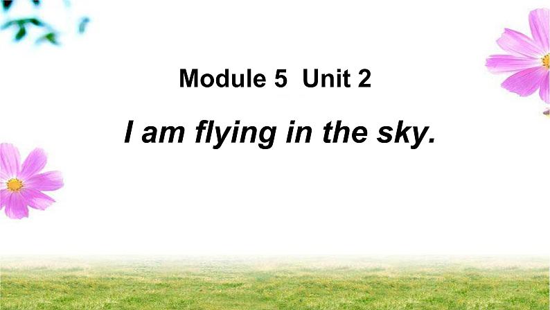 Module 5  Unit 2 I  am flying in the sky课件PPT01