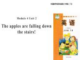 Module 4 Unit 2  The apples are falling down the stairs课件PPT