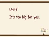 Module 5 Unit 2  It’s too big for you课件PPT