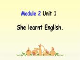 Module 2 Unit 1 She learnt English课件PPT