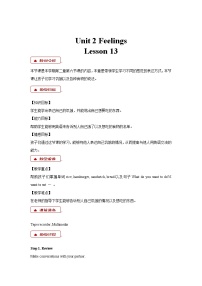 小学LESSON13精品教案及反思