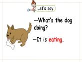 人教版Unit 5 Whose dog is it Part B  Let's learn & Let's play课件 素材(30张PPT)