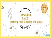 外研版（新）三下-Module 8 Unit 2 Daming flies a kite in the park【优质课件】