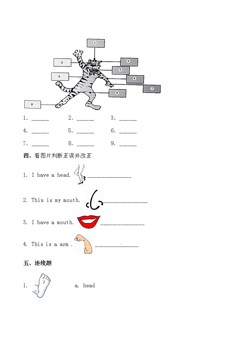 【期末必备】2021-2022学年人教版PEP小学英语三年级上册 unit 3 Look at me 基础巩固卷（有答案）02
