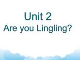Unit 2 Are you Lingling？课件