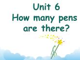 Unit 6 How many pens are there？课件