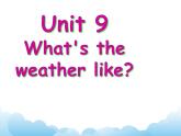 Unit 9 What's the weather like？课件