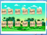 Unit 1 Touch and feel 第二课时（课件+教案）