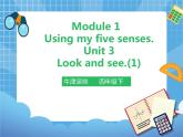 Unit 3 Look and see 第一课时（课件+教案）