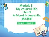 Unit 9 A friend in Australia 第三课时（课件+教案）