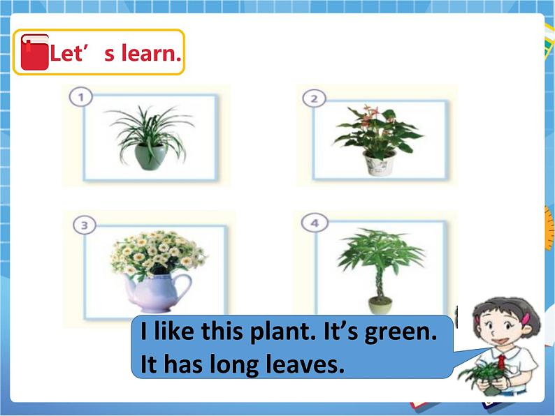 Unit10 My garden第二课时（课件+教案）02