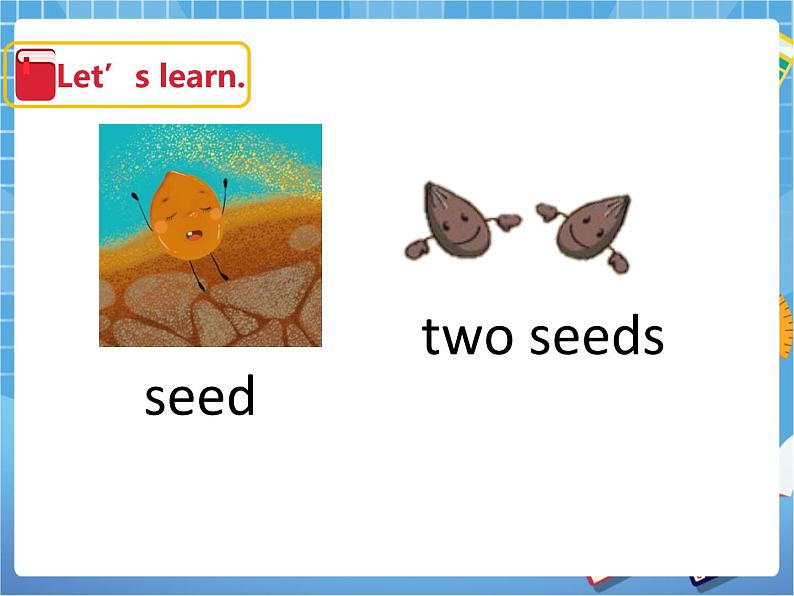 Unit10 My garden第二课时（课件+教案）06