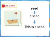 Unit10 My garden 第三课时（课件+教案）