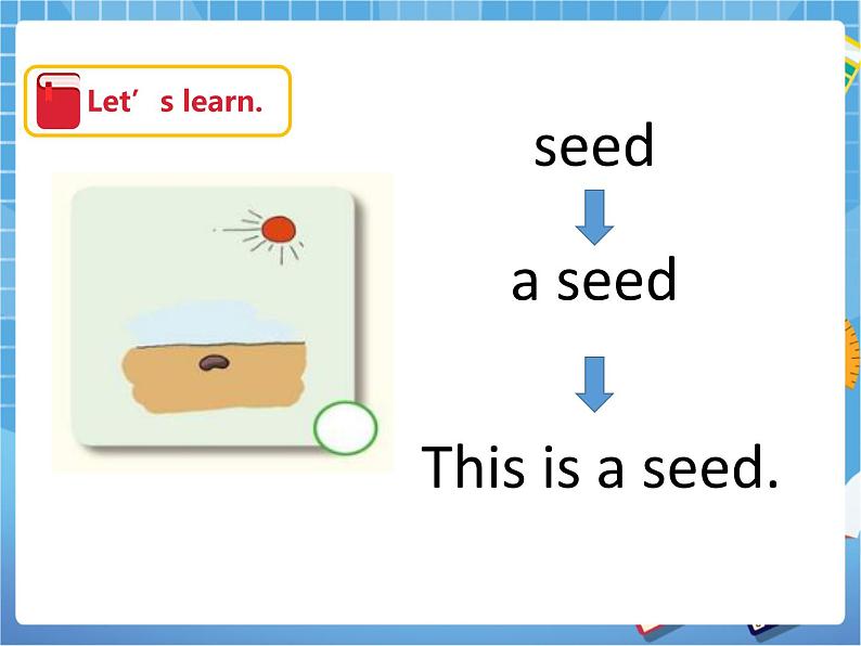 Unit10 My garden 第三课时（课件+教案）05