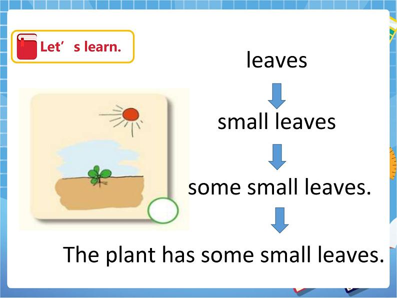 Unit10 My garden 第三课时（课件+教案）06