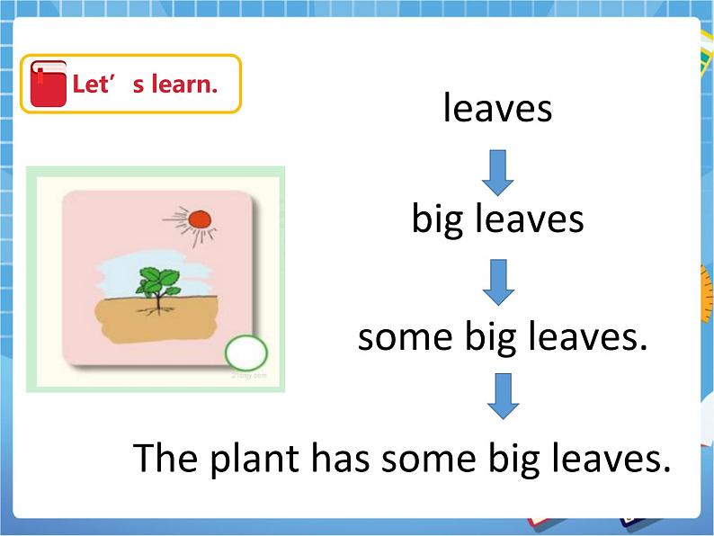 Unit10 My garden 第三课时（课件+教案）07