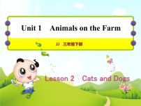 冀教版 (三年级起点)三年级下册Lesson 2 Cats and Dogs评优课ppt课件