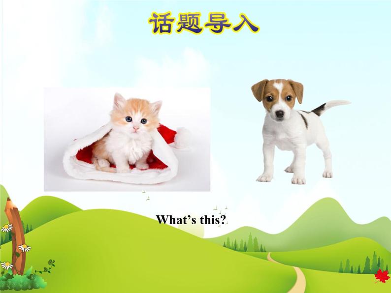 冀教版（三起点）三下 Lesson2 Cats and Dogs 课件+教案+素材02