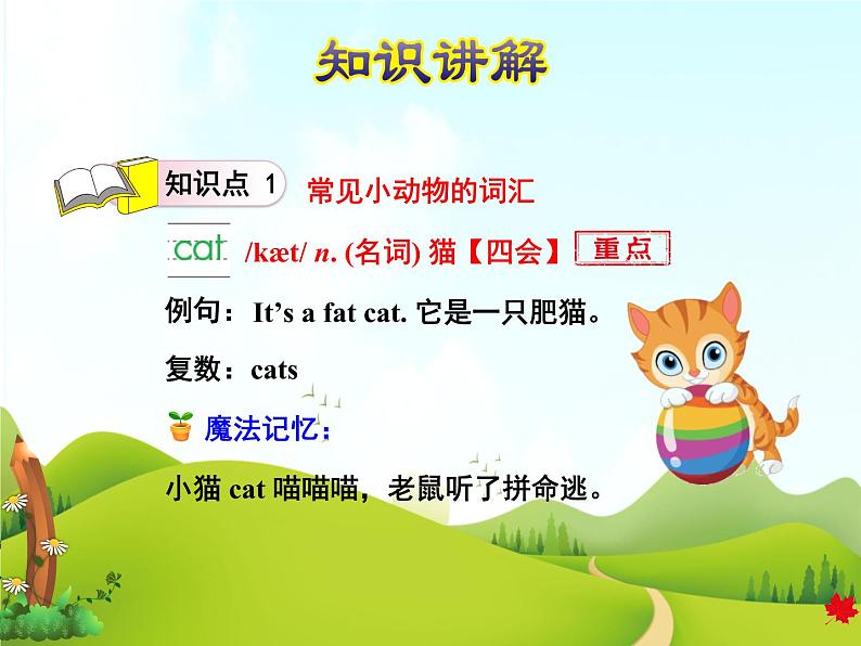 冀教版（三起点）三下 Lesson2 Cats and Dogs 课件+教案+素材04