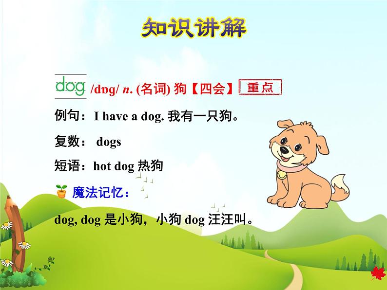 冀教版（三起点）三下 Lesson2 Cats and Dogs 课件+教案+素材05