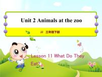 冀教版 (三年级起点)三年级下册Unit 2 Animals at the ZooLesson 11 What Do They Eat?优秀ppt课件