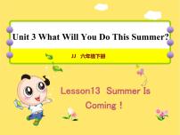 英语六年级下册Lesson 13 Summer is coming!完美版ppt课件
