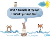 冀教版（新）三下-Unit 2 Lesson 8 Tigers and Bears.【优质课件】
