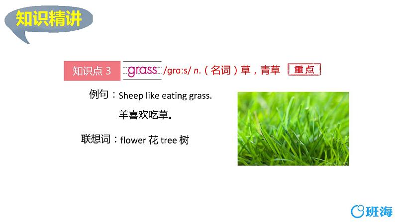 冀教版（新）三下-Unit 2 Lesson 10 Where Do They Live？【优质课件】08