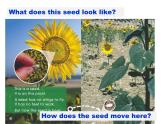 多维阅读第7级—Moving Seeds 种子的旅行课件PPT
