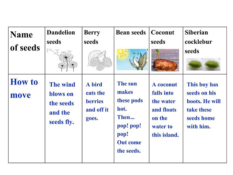 多维阅读第7级—Moving Seeds 种子的旅行课件PPT07