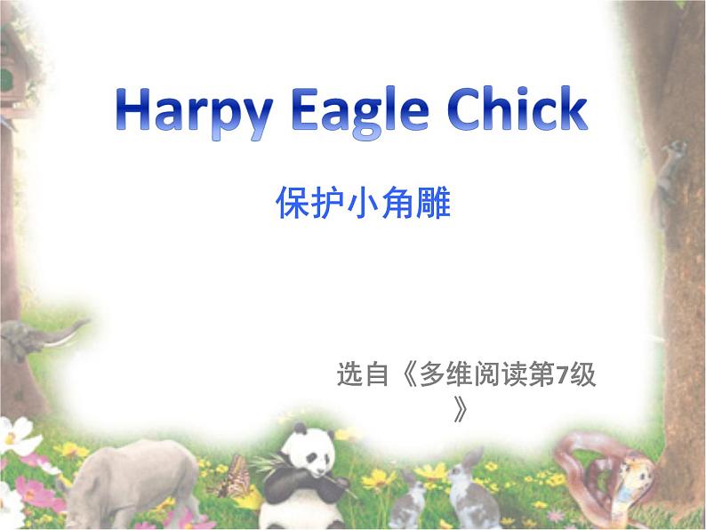 多维阅读第7级—Harpy Eagle Chick 保护小角雕课件PPT01