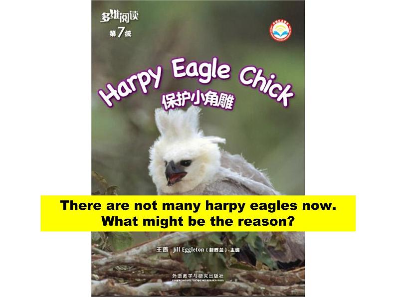 多维阅读第7级—Harpy Eagle Chick 保护小角雕课件PPT02