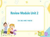 外研版（三起）六年级下册《Review Module Unit 2》课件+教案+练习