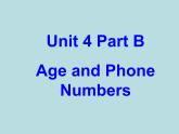 闽教版（三年级起点）小学英语三年级上册 Unit 4 Age and Phone Numbers Part B_(1) 课件