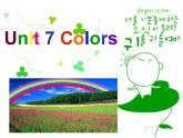 闽教版（三年级起点）小学英语三年级上册 Unit 6 Colors Part B_(1) 课件